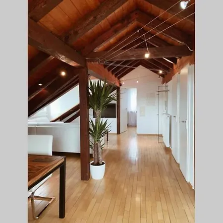 Apartman *dreilaendereck* Wifi+ Balkon+garage Basel Mulhouse