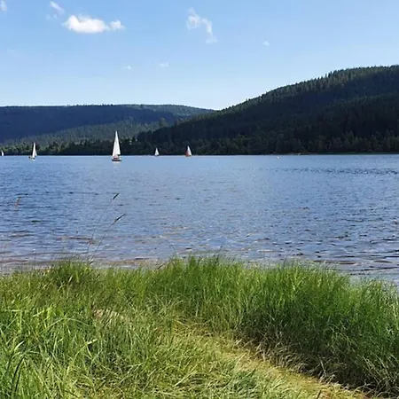 *dreilaendereck* Wifi+ Balkon+garage Basel Mulhouse Apartman *