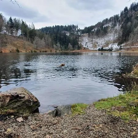 Apartman *dreilaendereck* Wifi+ Balkon+garage Basel Mulhouse *