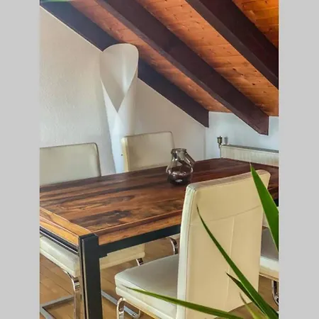 Apartman *dreilaendereck* Wifi+ Balkon+garage Basel Mulhouse