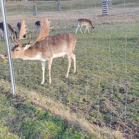 Apartman *dreilaendereck* Wifi+ Balkon+garage Basel Mulhouse Maulburg