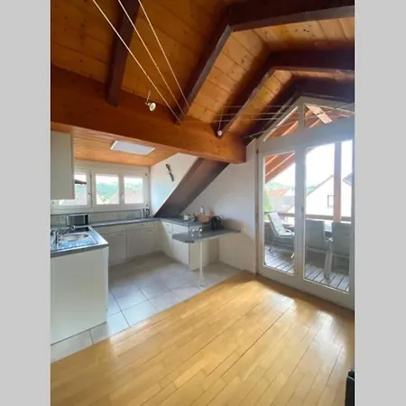 Apartman *dreilaendereck* Wifi+ Balkon+garage Basel Mulhouse