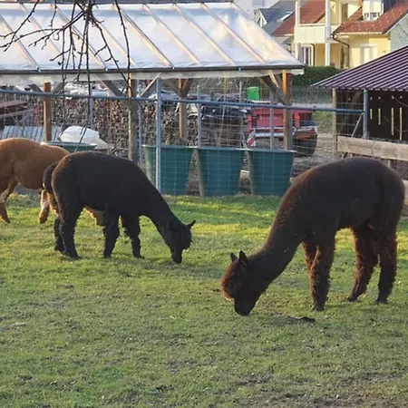 *dreilaendereck* Wifi+ Balkon+garage Basel Mulhouse Maulburg