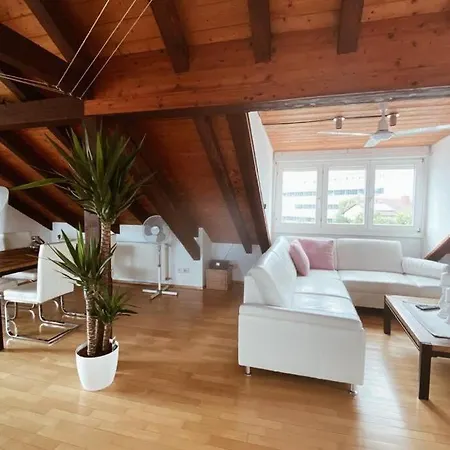 Apartman *dreilaendereck* Wifi+ Balkon+garage Basel Mulhouse