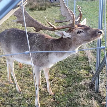 Apartman *dreilaendereck* Wifi+ Balkon+garage Basel Mulhouse *